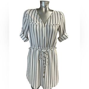 Iris Basic Black and White Striped Dress